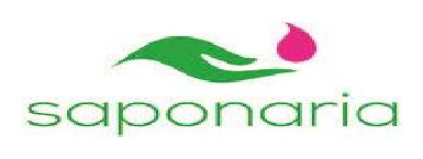 Saponaria